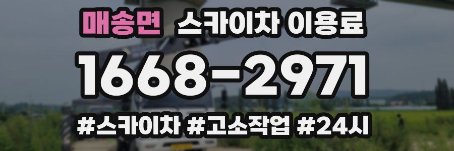 매송면 스카이차 이용료