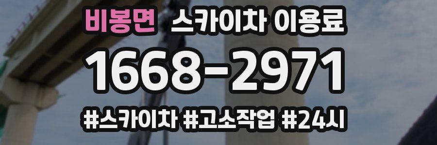 비봉면 스카이차 이용료