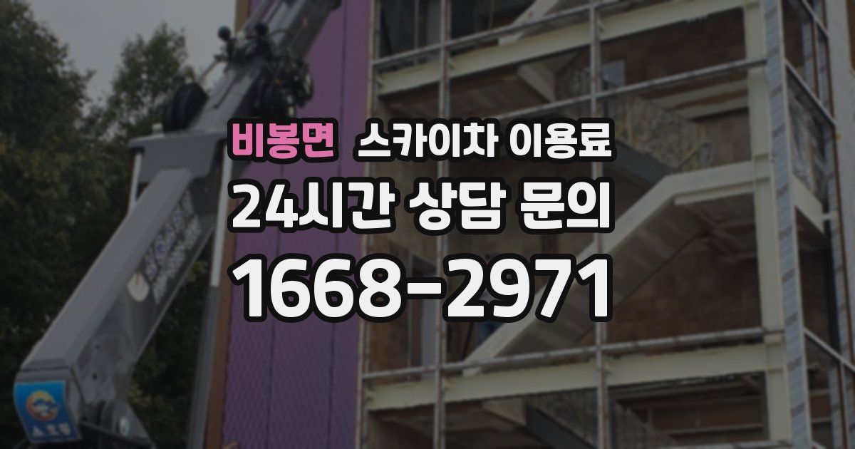 비봉면 스카이차 이용료