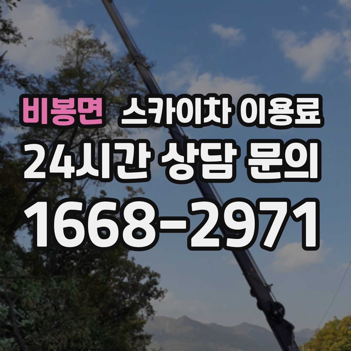 비봉면 스카이차 이용료