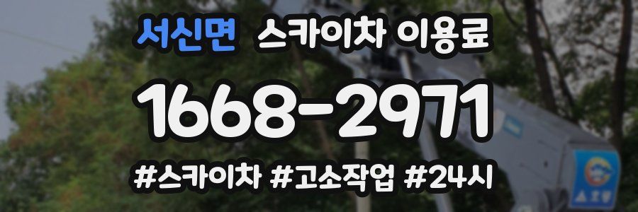 서신면 스카이차 이용료