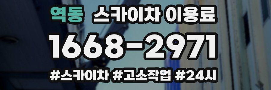 역동 스카이차 이용료