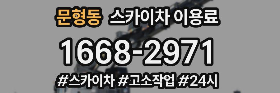 문형동 스카이차 이용료