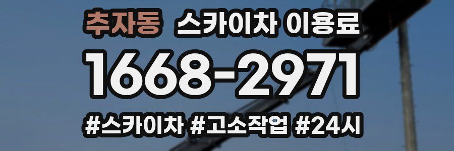 추자동 스카이차 이용료