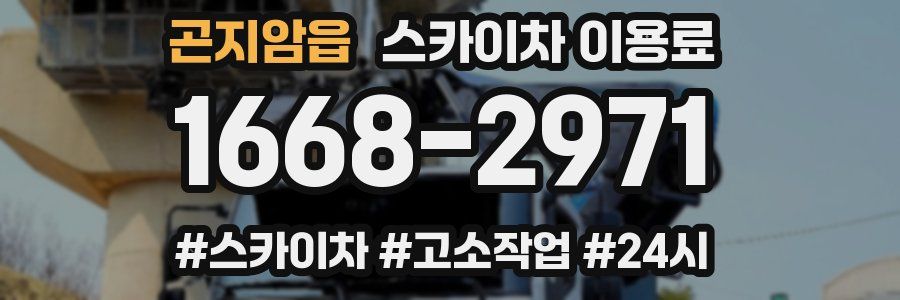 곤지암읍 스카이차 이용료