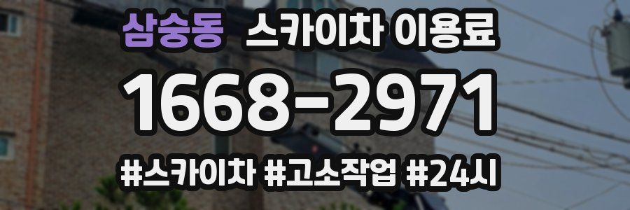 삼숭동 스카이차 이용료
