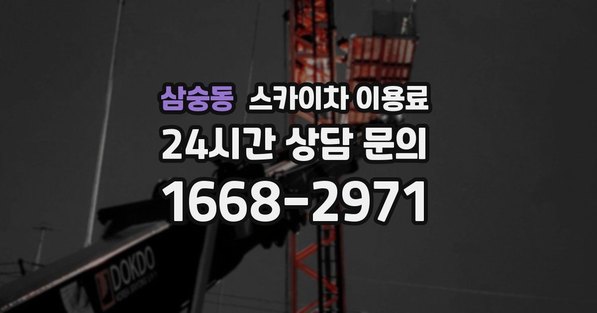 삼숭동 스카이차 이용료