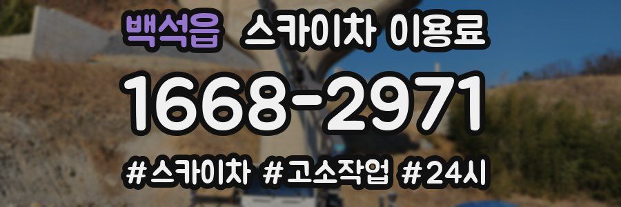 백석읍 스카이차 이용료
