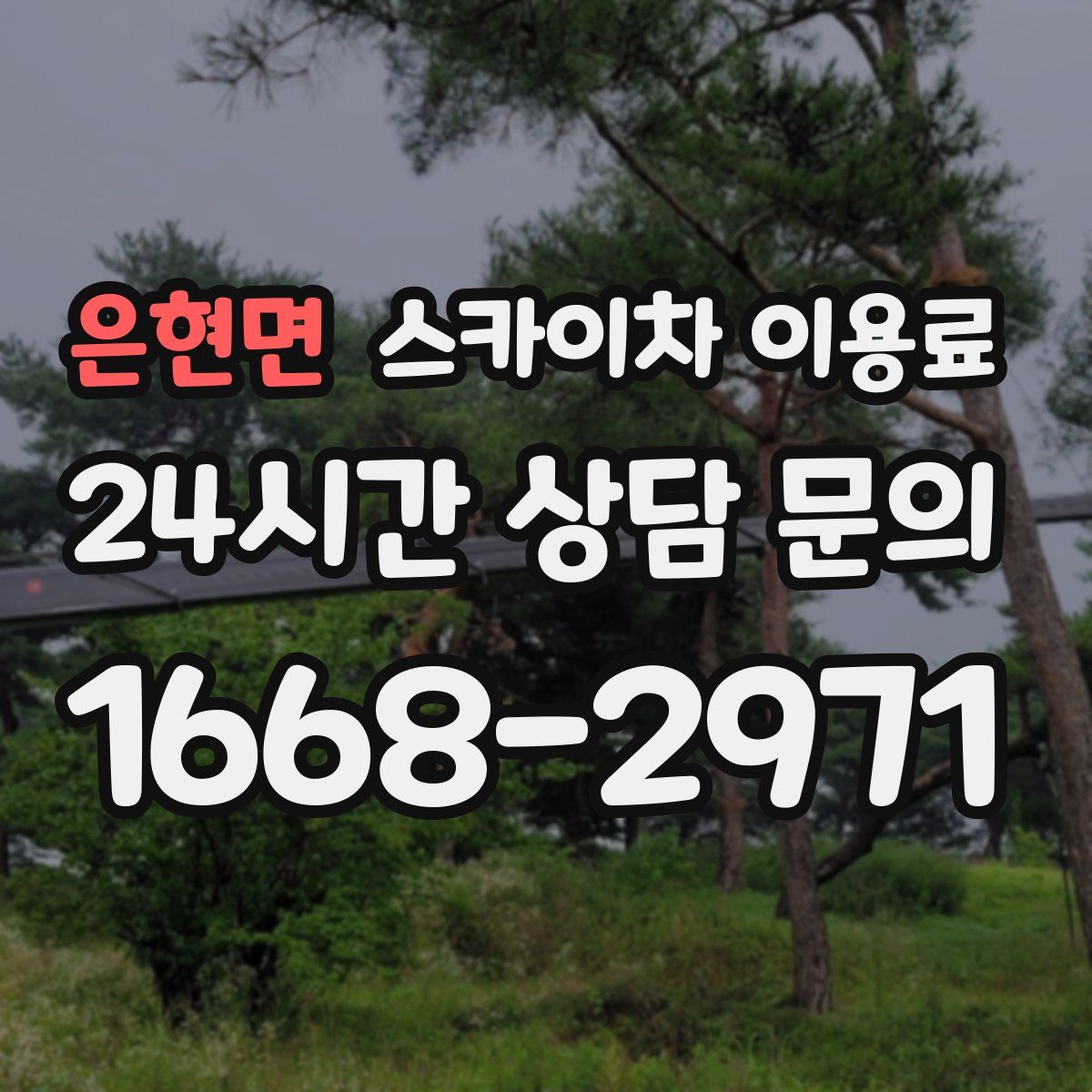 은현면 스카이차 이용료