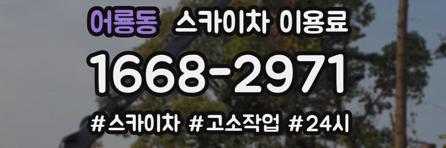 어룡동 스카이차 이용료
