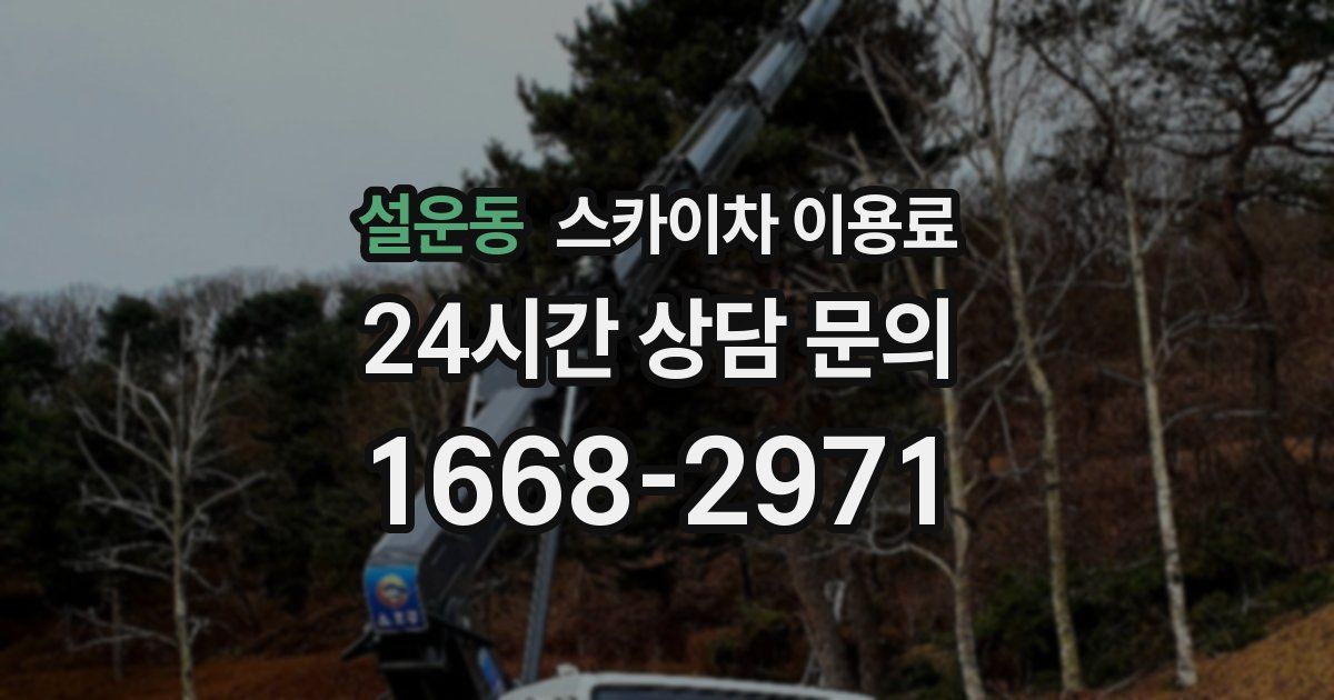 설운동 스카이차 이용료