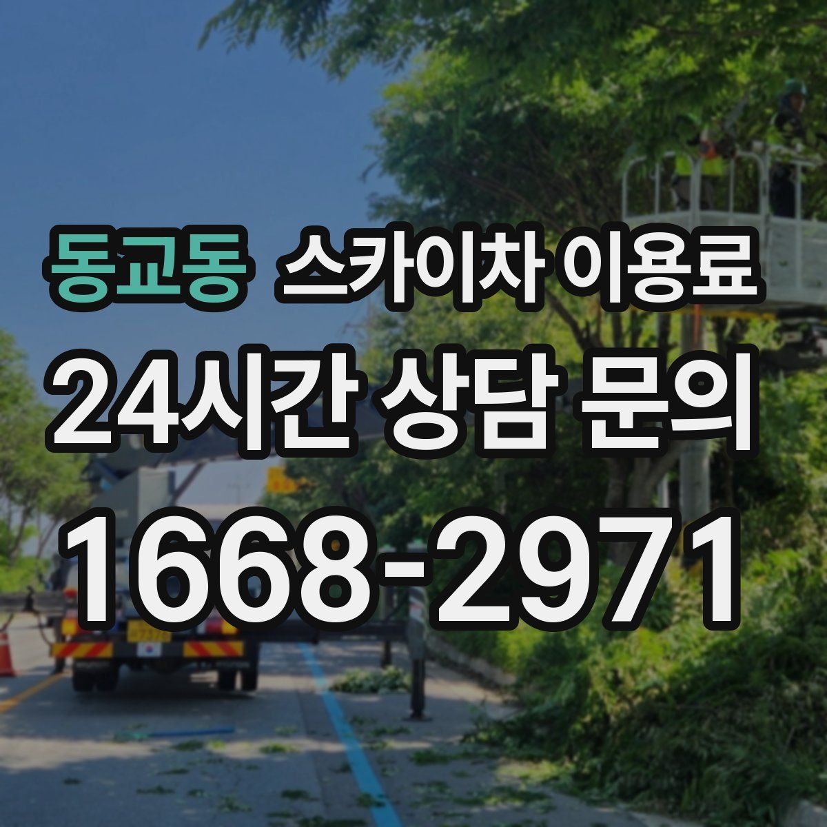 동교동 스카이차 이용료