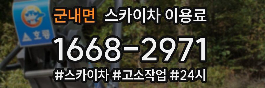군내면 스카이차 이용료