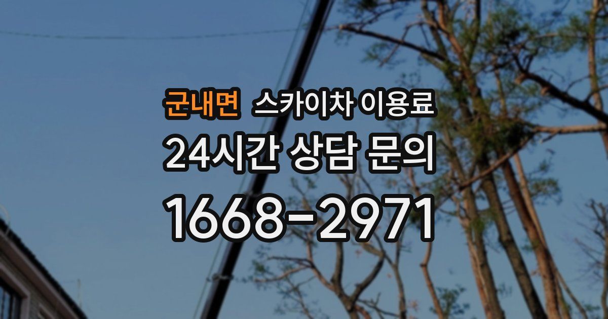 군내면 스카이차 이용료