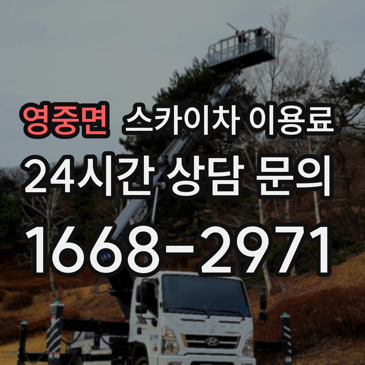 영중면 스카이차 이용료