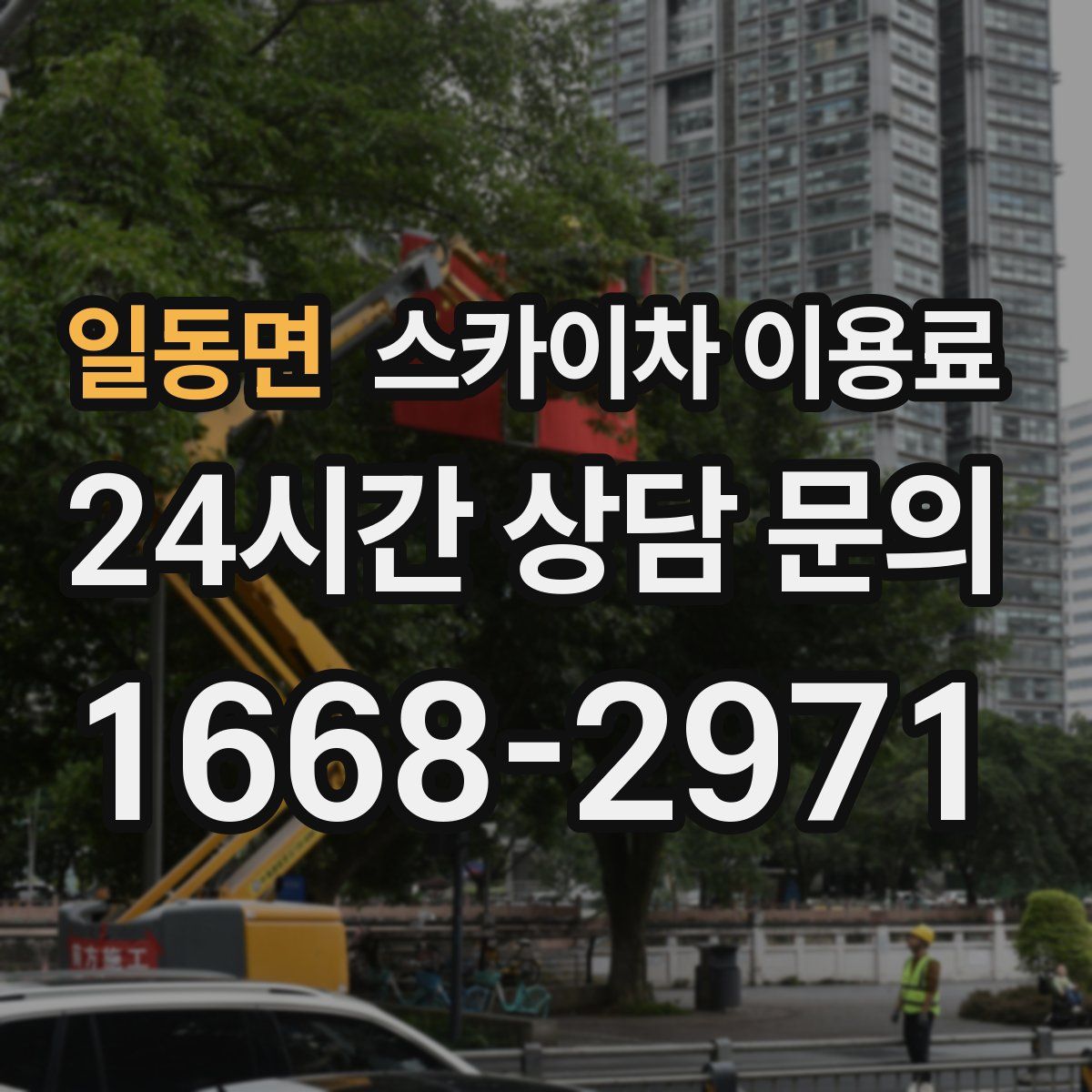 일동면 스카이차 이용료