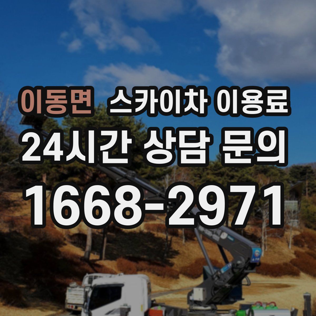 이동면 스카이차 이용료