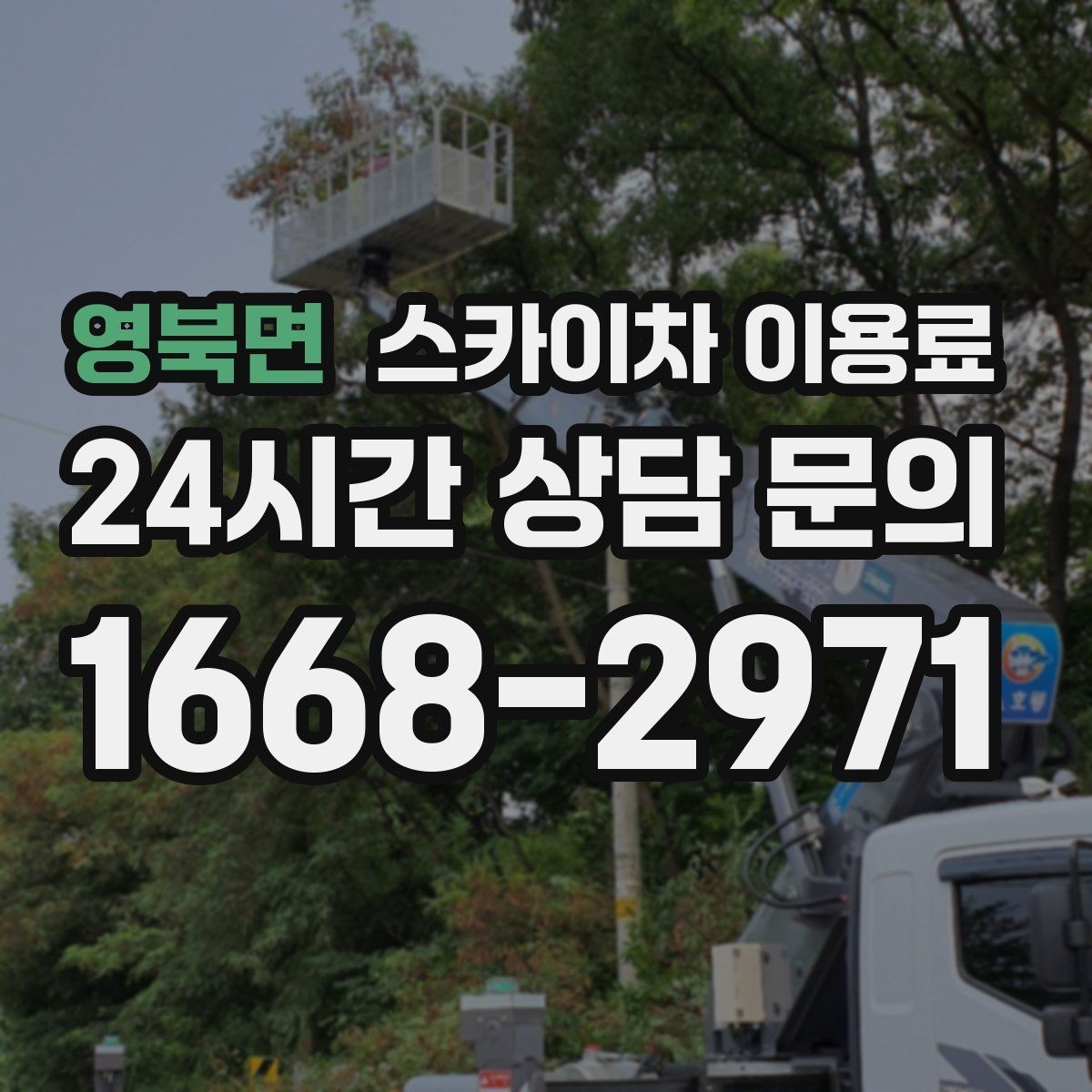 영북면 스카이차 이용료 상담 시 자주 묻는 내용