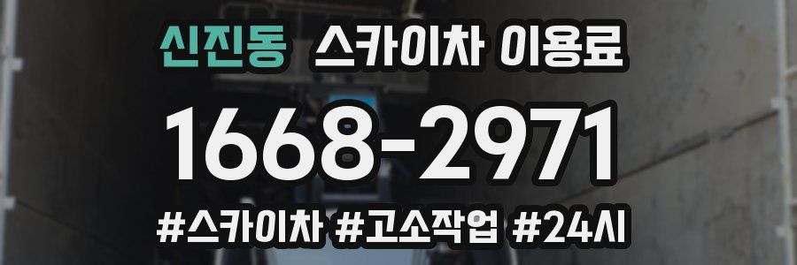 신진동 스카이차 이용료