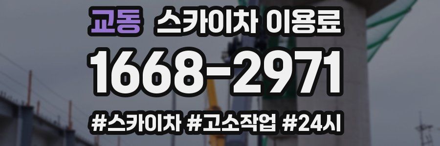 교동 스카이차 이용료