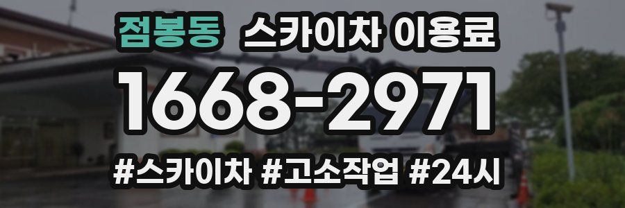 점봉동 스카이차 이용료