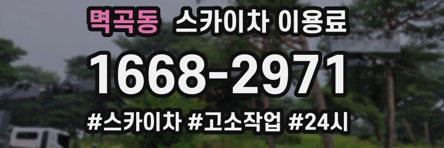 멱곡동 스카이차 이용료