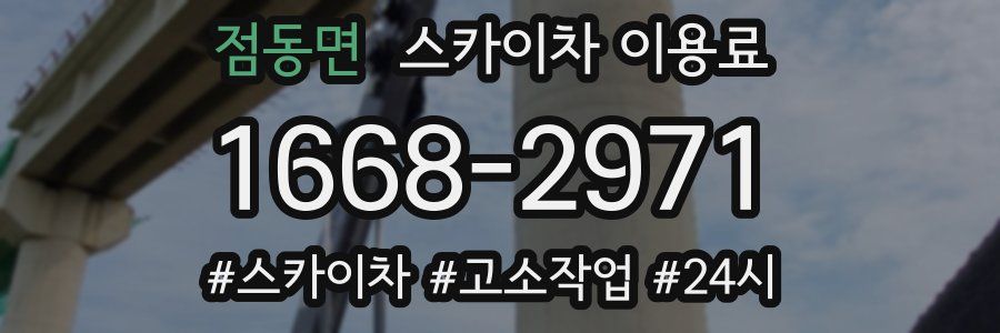 점동면 스카이차 이용료