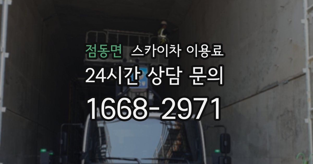 점동면 스카이차 이용료