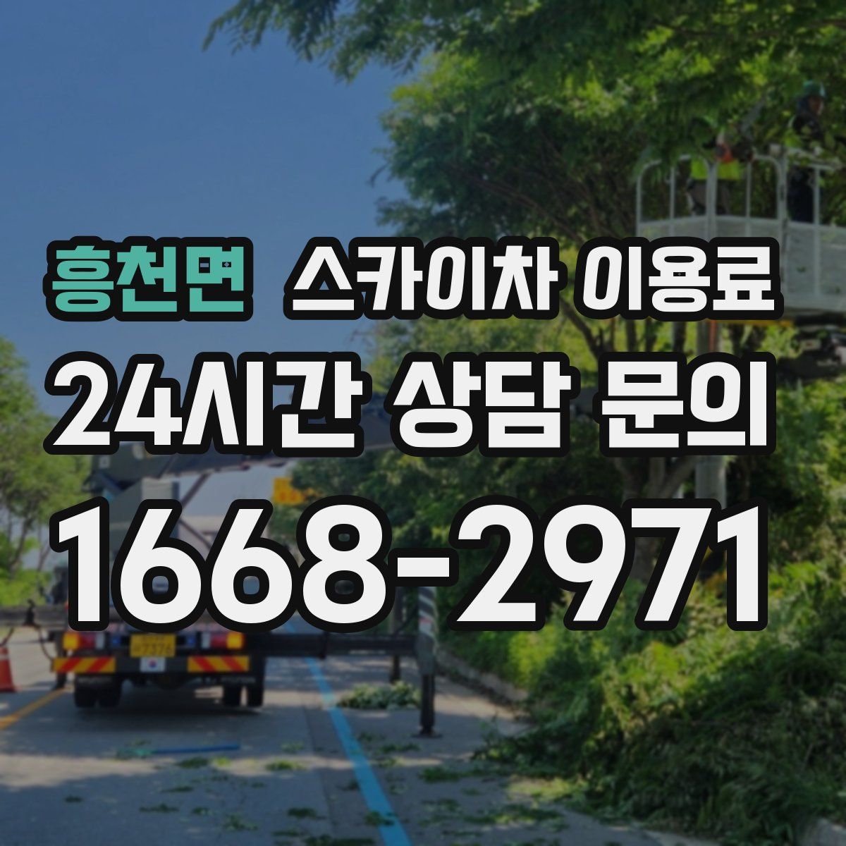 흥천면 스카이차 이용료