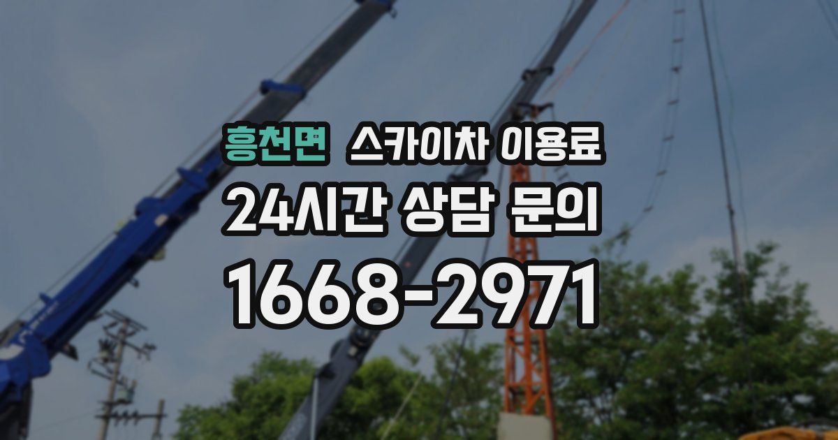 흥천면 스카이차 이용료