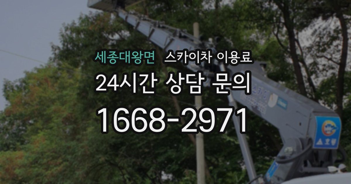 세종대왕면 스카이차 이용료