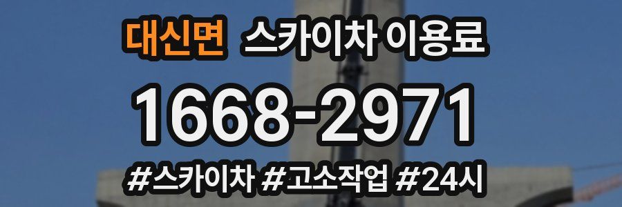 대신면 스카이차 이용료