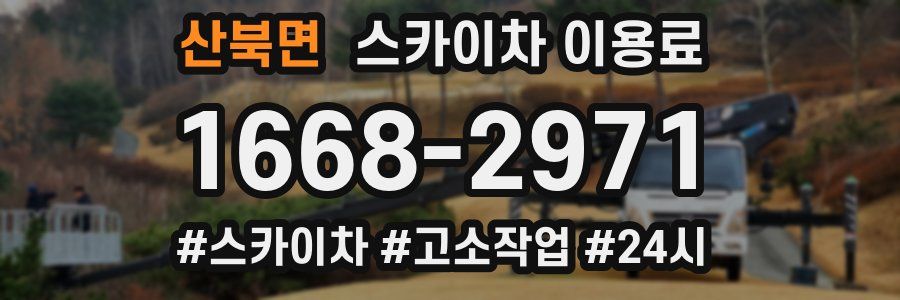 산북면 스카이차 이용료