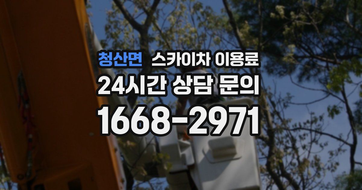 청산면 스카이차 이용료