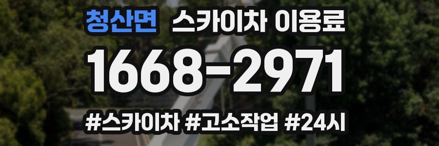 청산면 스카이차 이용료