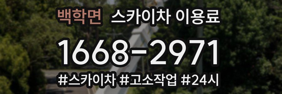 백학면 스카이차 이용료