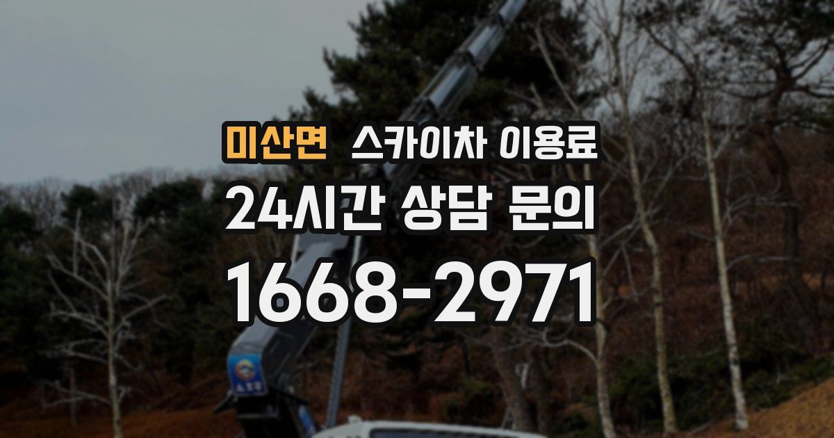 미산면 스카이차 이용료