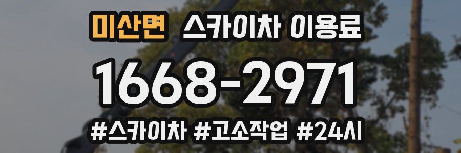 미산면 스카이차 이용료