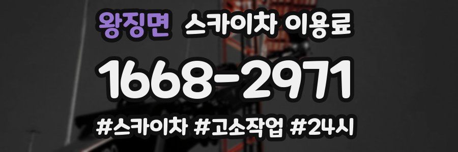 왕징면 스카이차 이용료