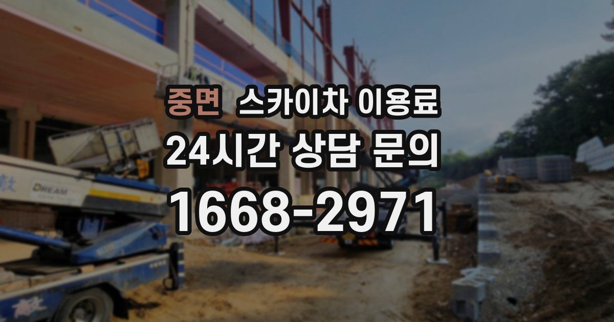 중면 스카이차 이용료
