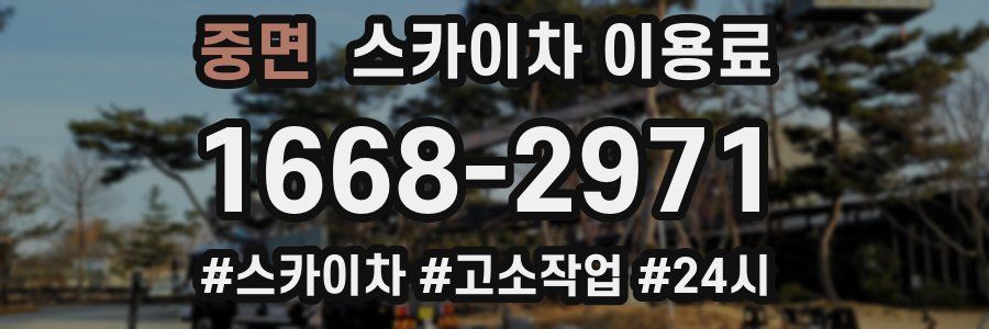 중면 스카이차 이용료