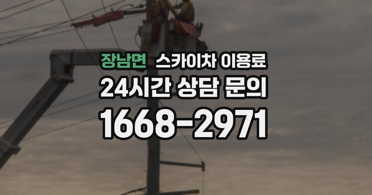장남면 스카이차 이용료