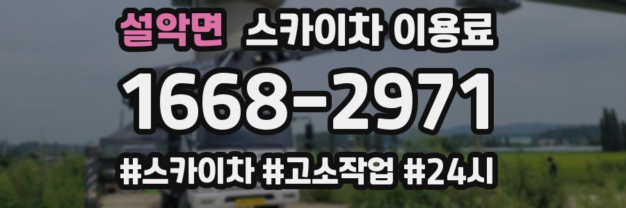 설악면 스카이차 이용료