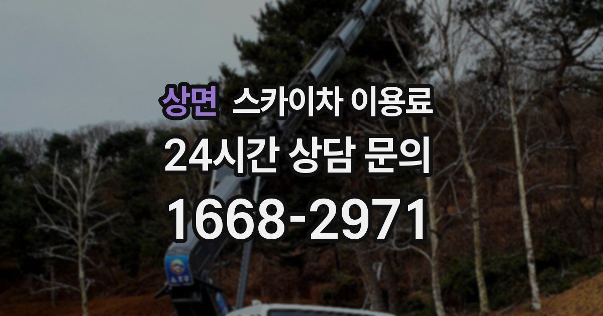 상면 스카이차 이용료