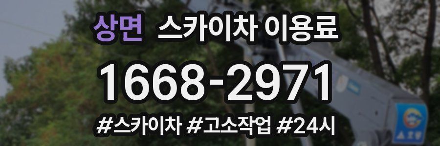 상면 스카이차 이용료