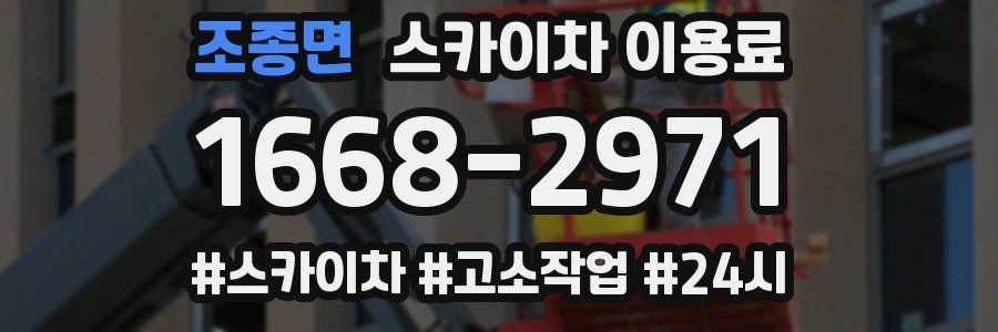 조종면 스카이차 이용료