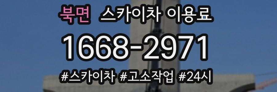 북면 스카이차 이용료