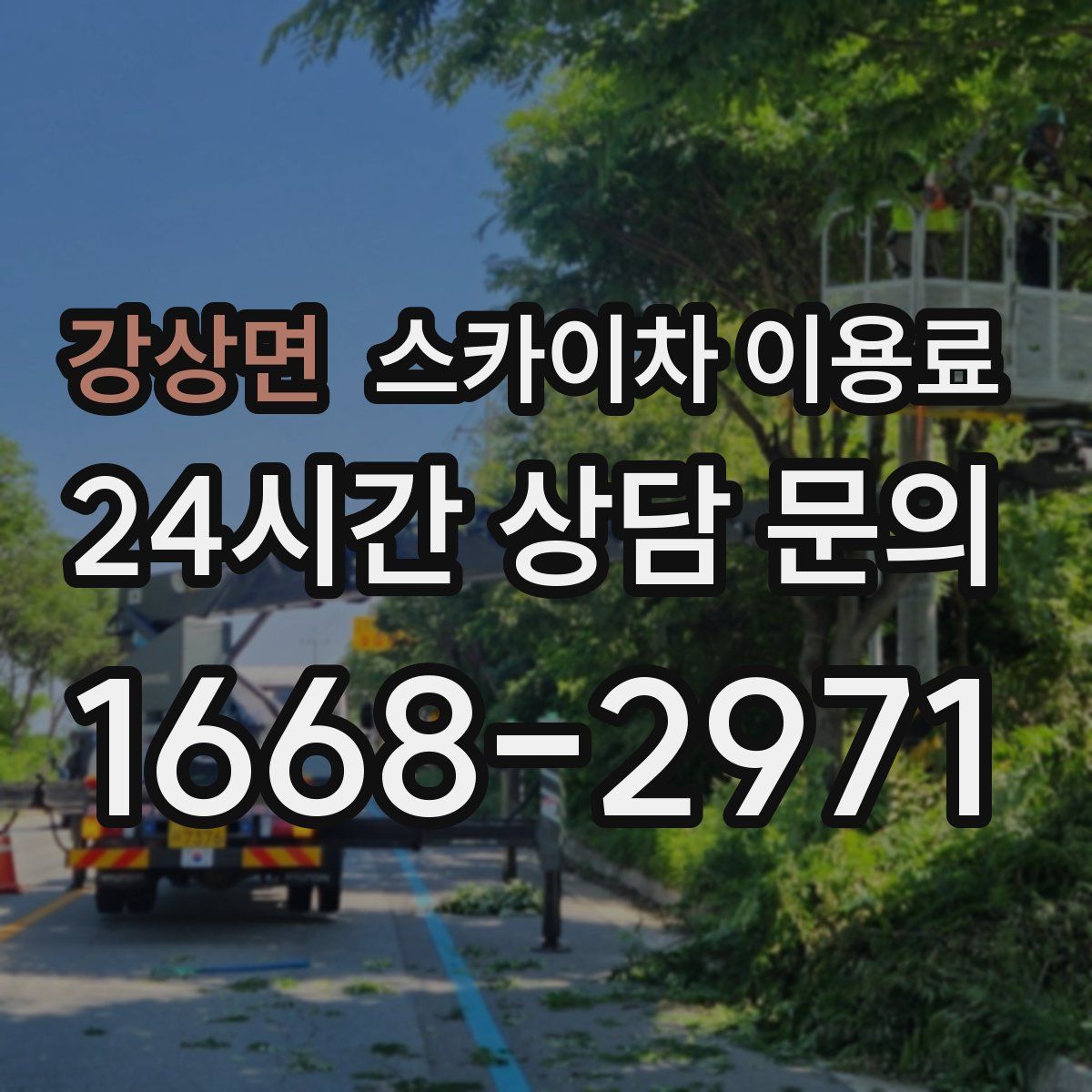 강상면 스카이차 이용료