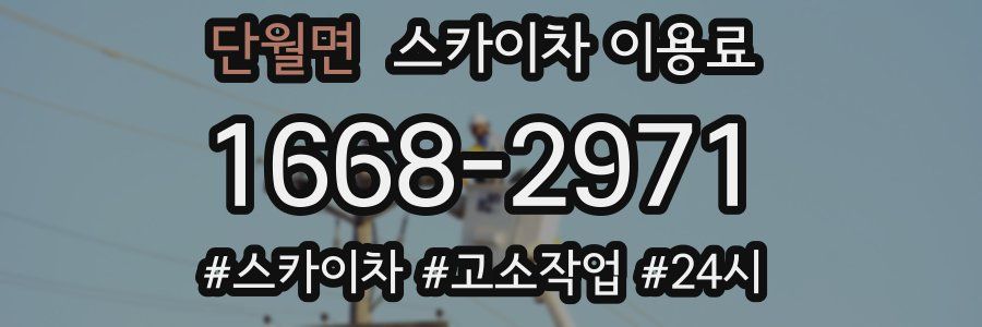 단월면 스카이차 이용료