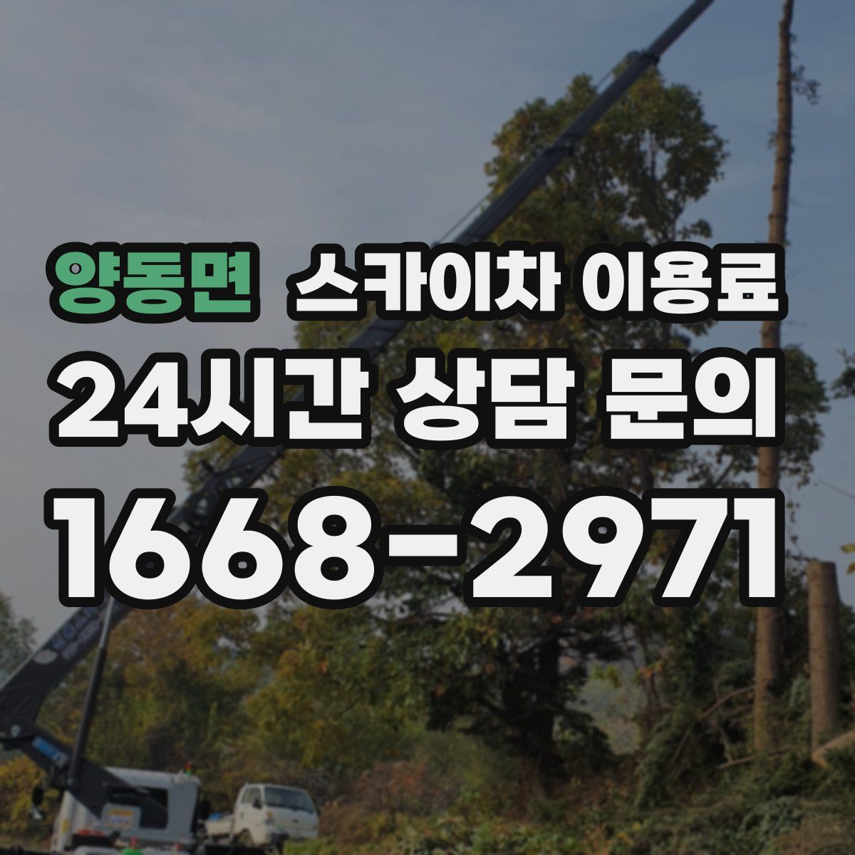 양동면 스카이차 이용료